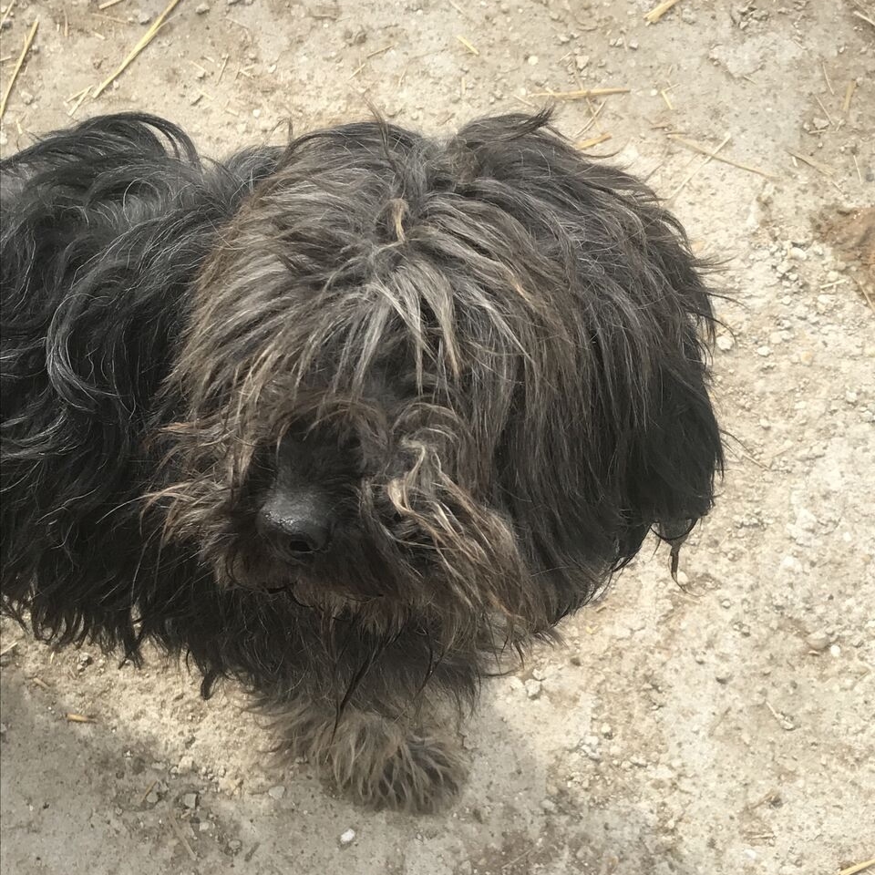 5948 blk gy female