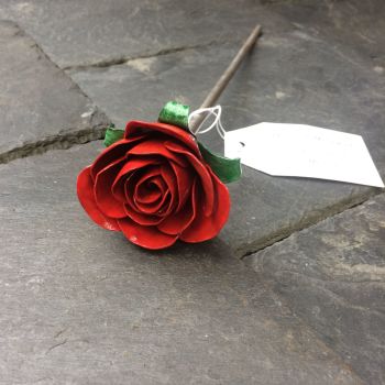 Steel rose bright red