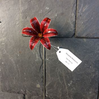 Steel stargazer lily in dark red