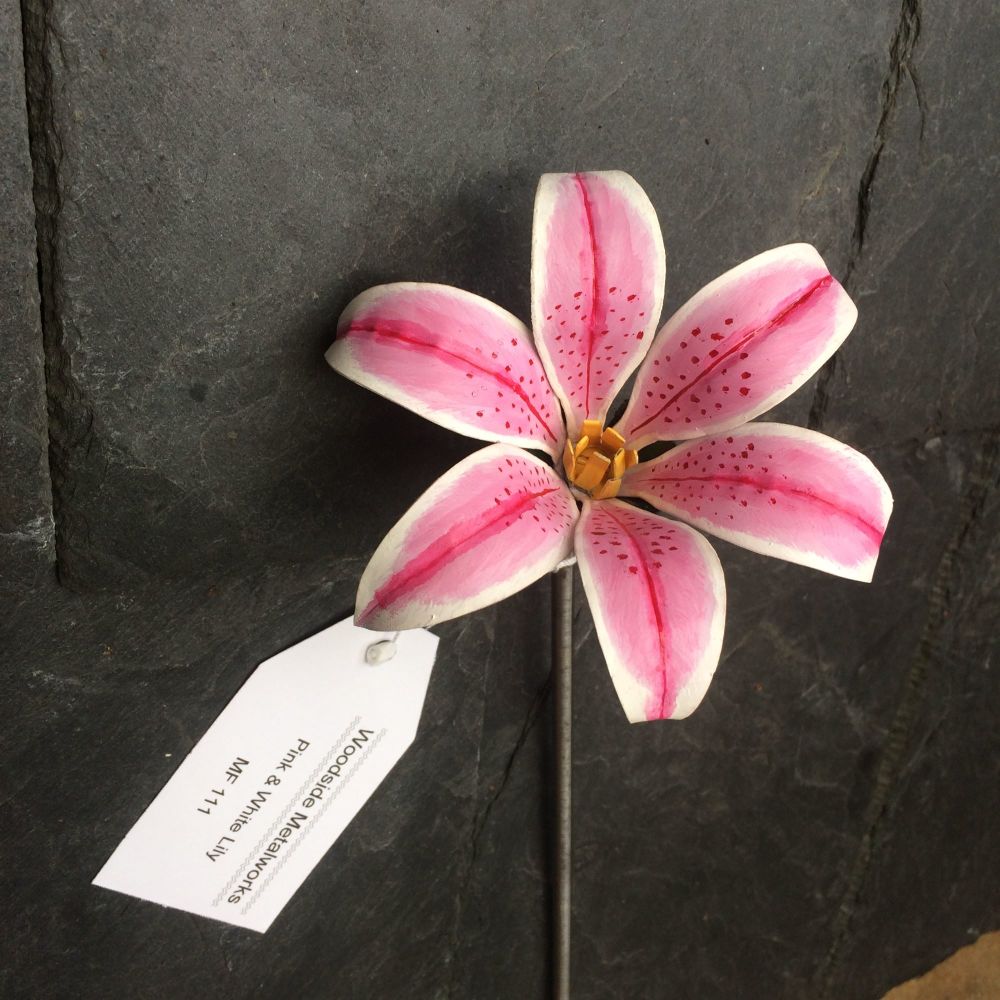 Pink and white painted steel stargazer lily flower