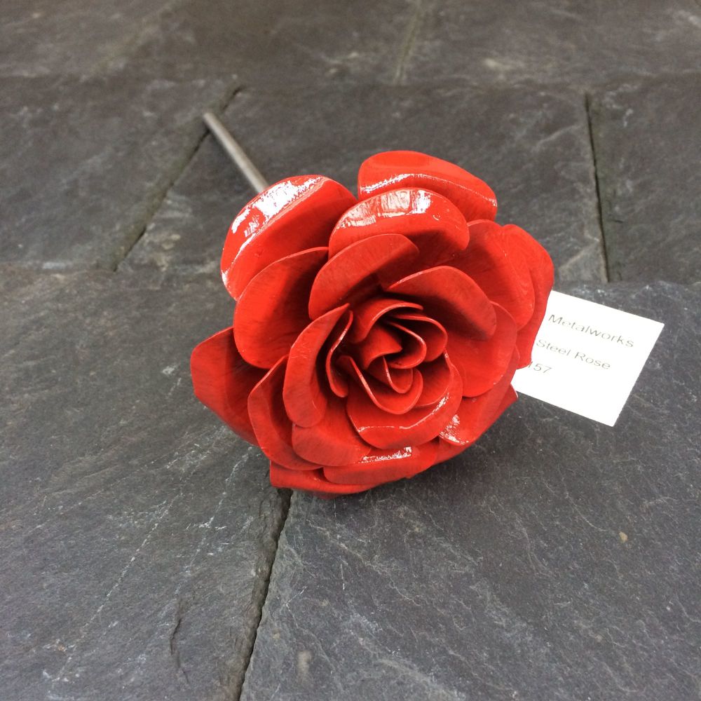 steel rose in bright red