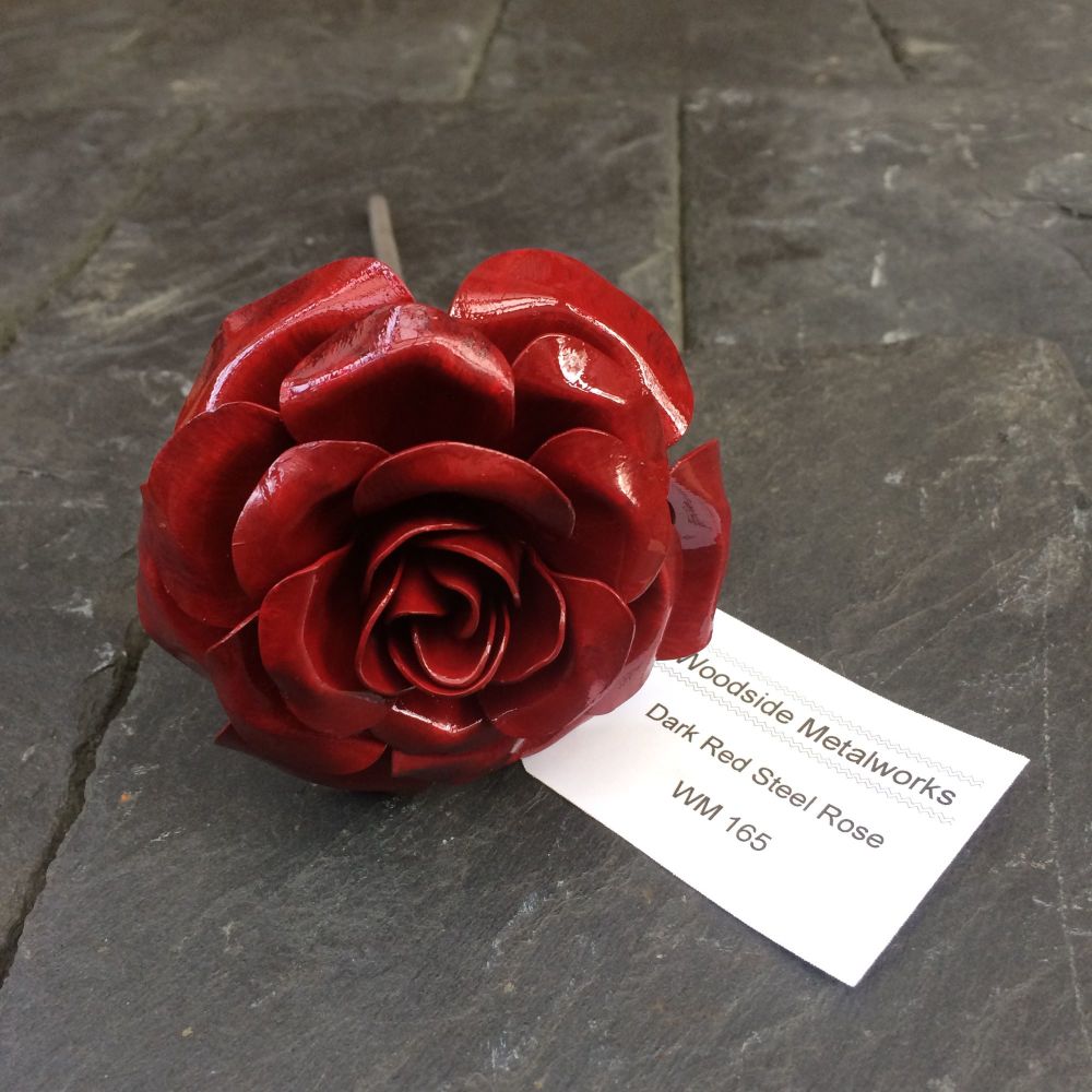 Dark red rose