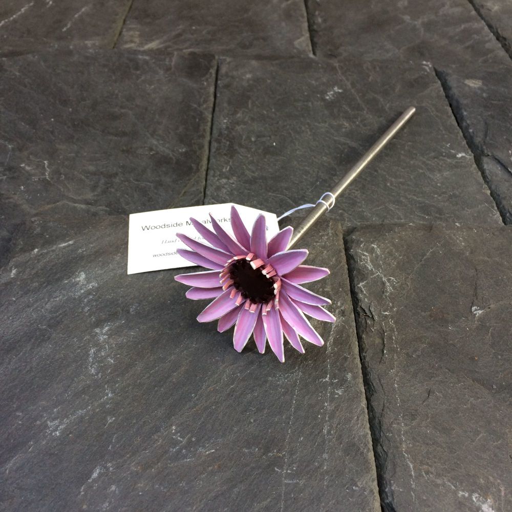 Pink Steel Gerbera Daisy