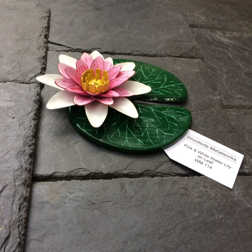Pink and white metal water lily on a leaf