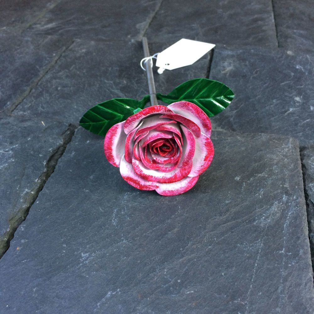 Steel rose