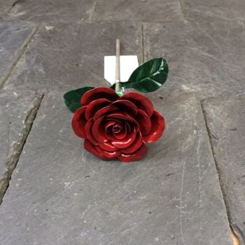 Anniversary steel rose in dark red