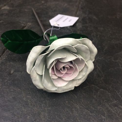 White steel rose with a hint of pink
