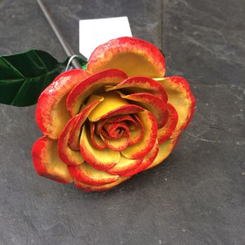 Yellow steel rose with a red edging