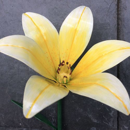Yellow steel lily