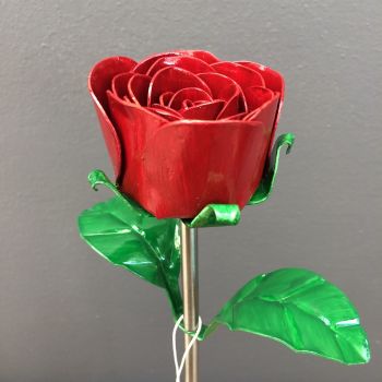 Red steel rose in dark red
