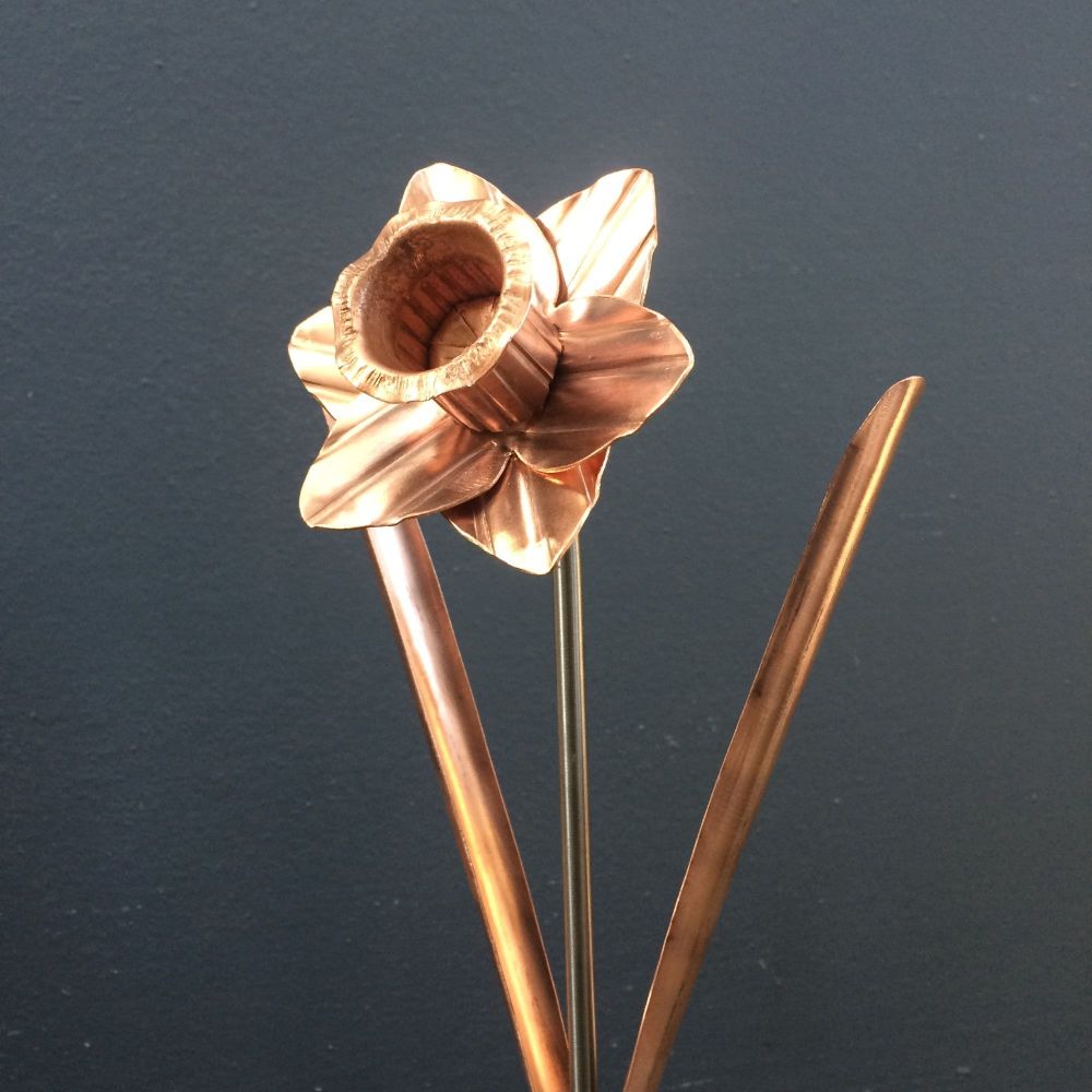 Copper Daffodil