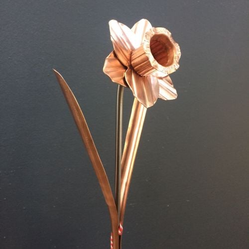 Copper daffodil with leaves