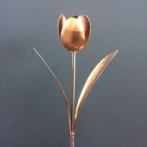 Copper tulip