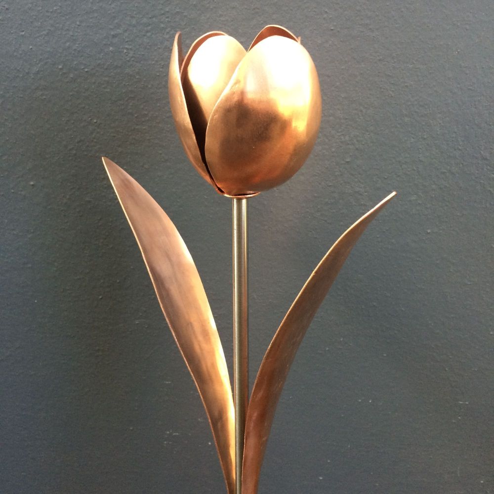 Copper tulip with leaves