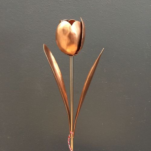 Copper tulip with leaves