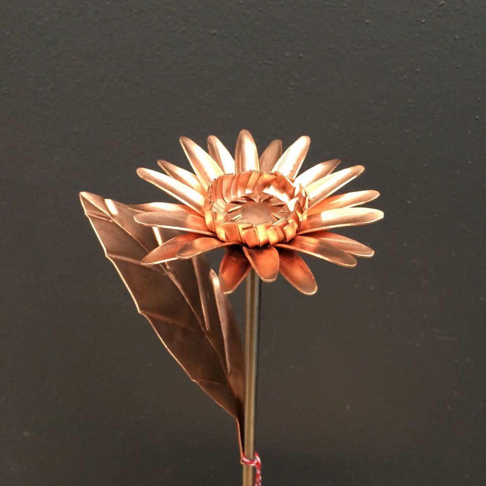 Copper gerbera daisy