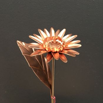 Copper gerbera daisy WM1146