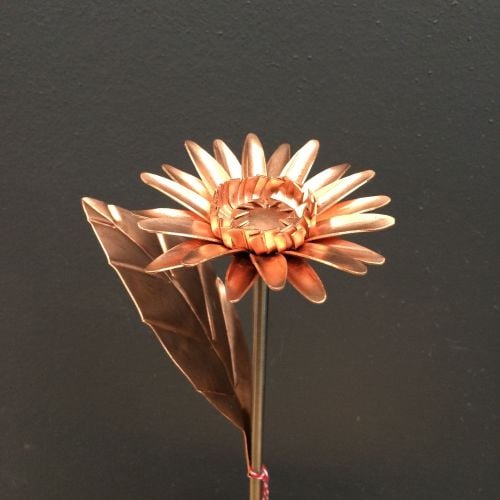 Copper gerbera daisy