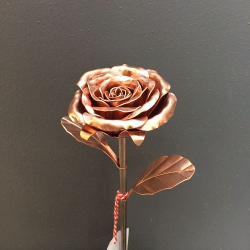 Blooming copper rose