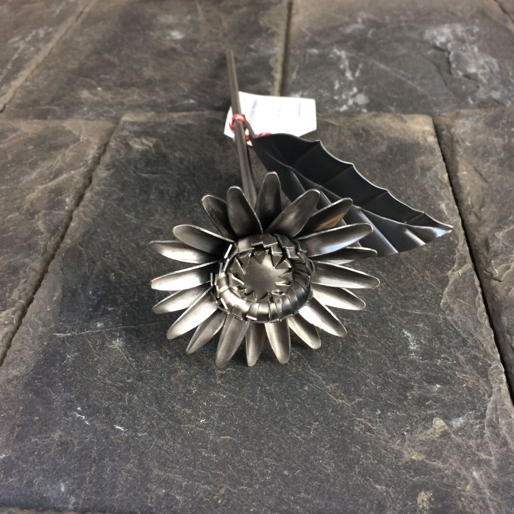 Steel daisy gerbera