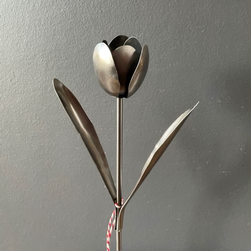 Steel tulip 