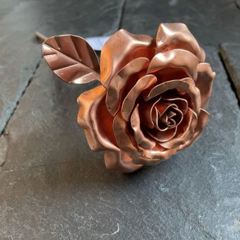 Birthday copper rose