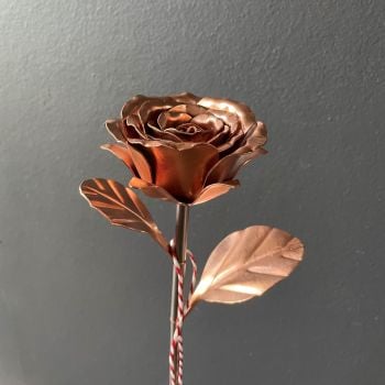 Copper rose semi open WM1101