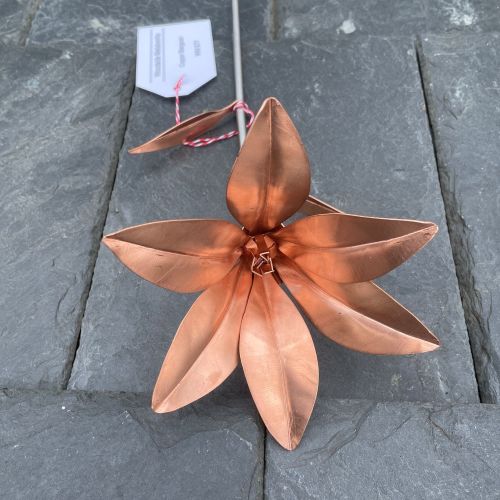 Elegant copper lily with a steel stem
