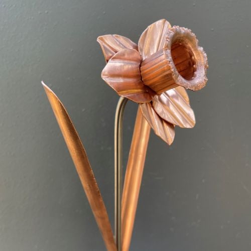 Copper daffodil flower