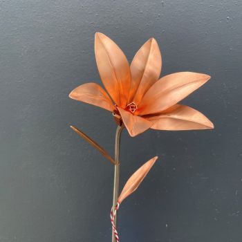 Copper stargazer lily flower WM700
