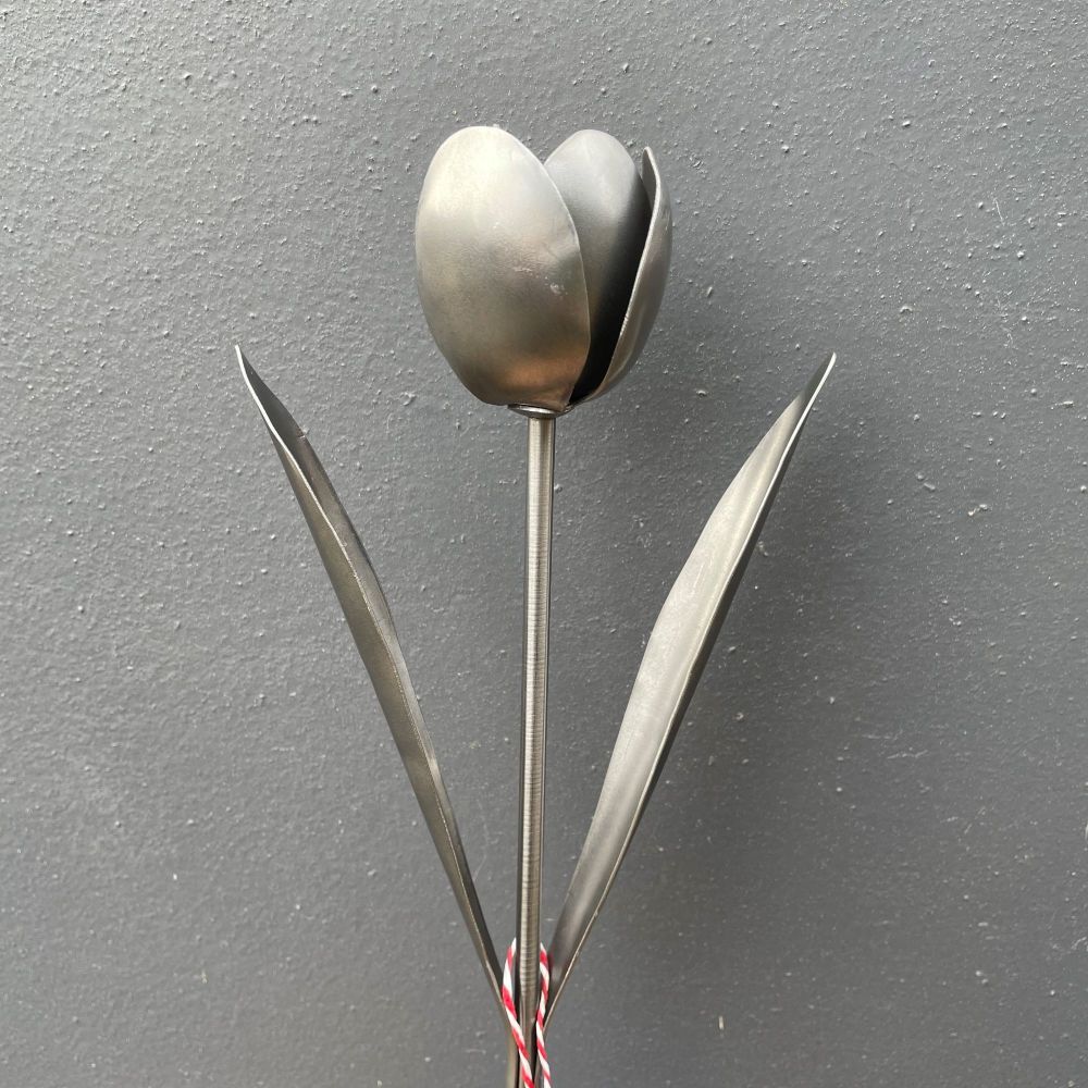 Steel tulip 