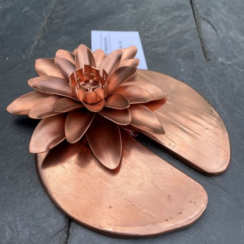 Copper water lily on a leaf