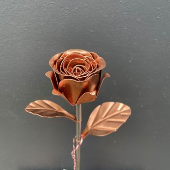 Timeless copper rose WM977