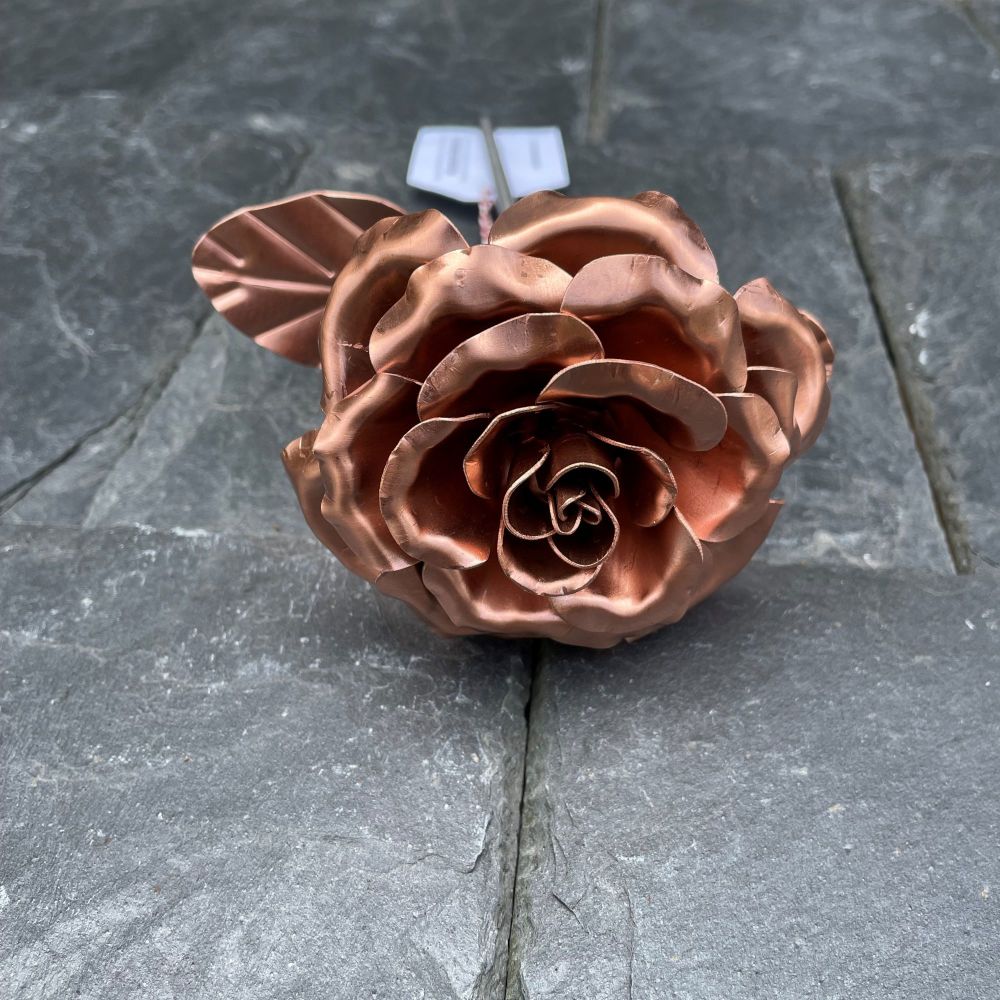 7th Anniversary copper rose 