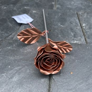 Copper sweetheart rose WM1033