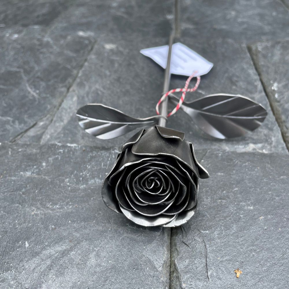 Steel 11th anniversary rose