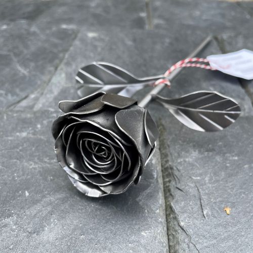Steel 11th anniversary rose