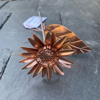 Copper gerbera flower WM761