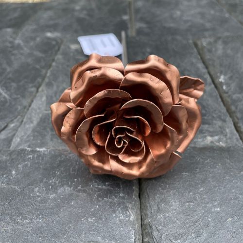 Copper garden rose