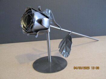 Steel 11th anniversary rose WM1292