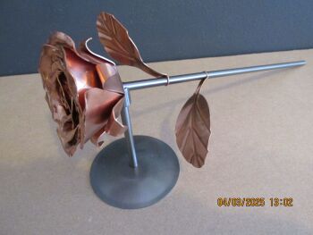 Anniversary copper rose WM1294
