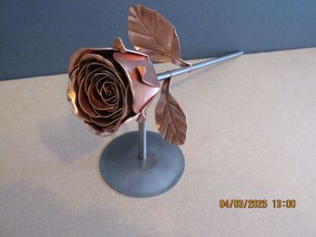 Timeless copper rose WM1298 with display stand