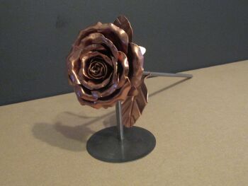 Copper rose in full flower with display stand WM772