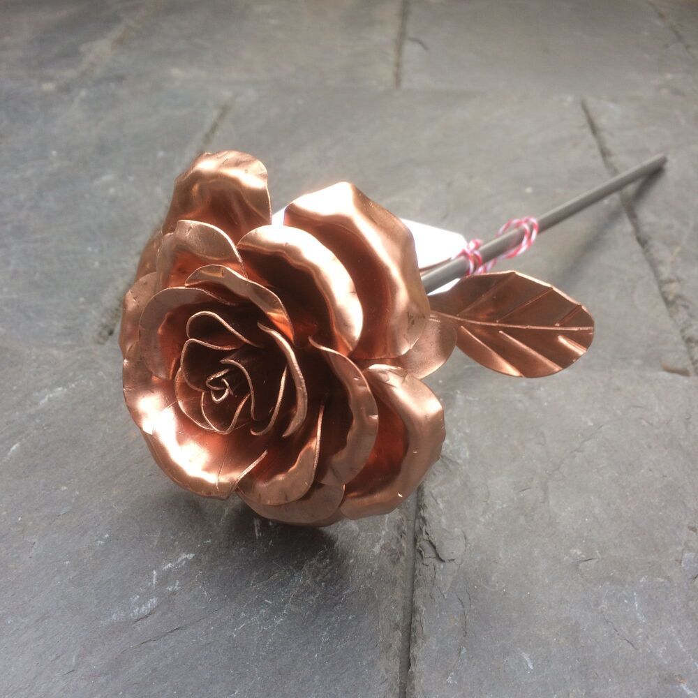 Copper garden rose WM1195