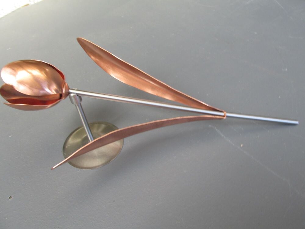 Copper tulip WM1266