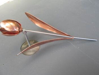 Copper tulip WM1266