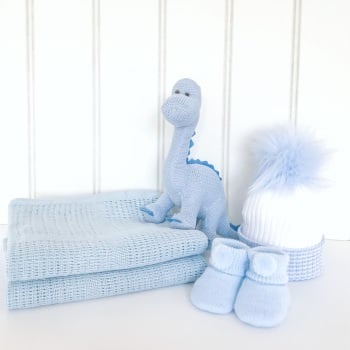 Baby Dino Gift Set - Blue