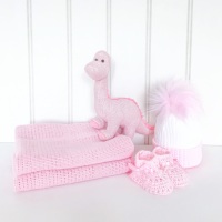 Baby Dino Gift Set - Pink