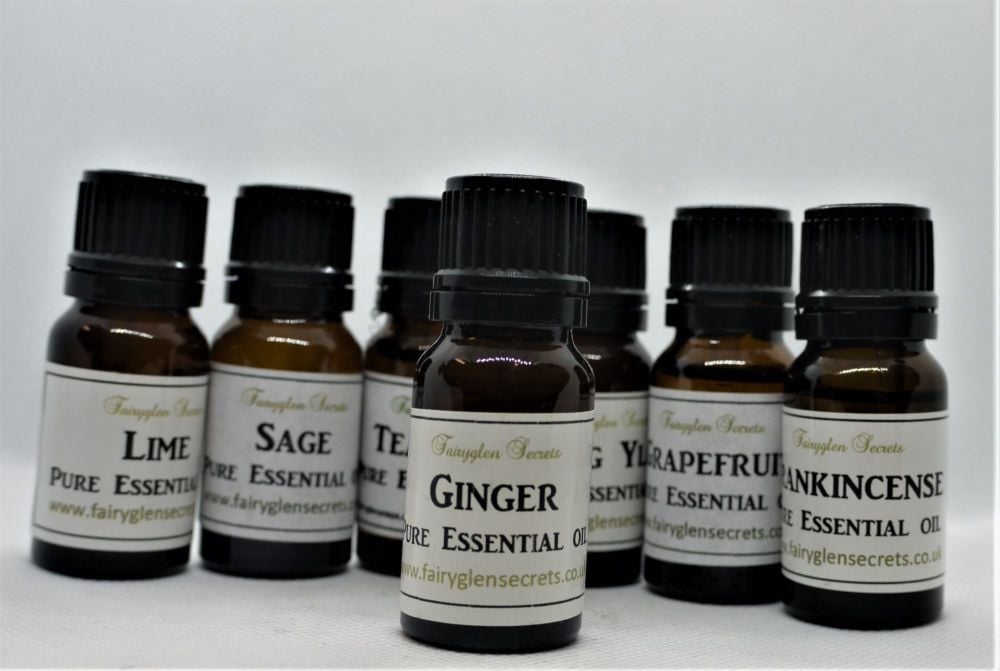 10ml Ginger Pure Essential Oil