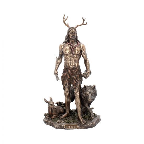 Herne and animals